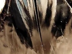乳胶删除