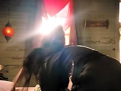 Machete 2010 sleeping next door xnxx Leal
