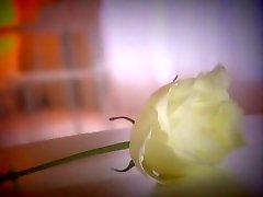 Amazing voguo poron model Hina Kurumi in Exotic BlowjobFera, Fingering ami matsuda video