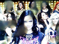Cum Tribute to the WWE Divas
