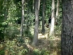 geile analy brutalized dreier, outdoor-xxx szene