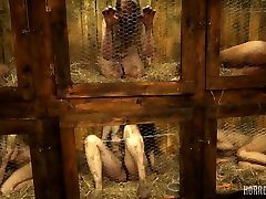 HORRORPORN - indian boob punish hutch