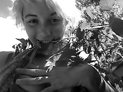 -- Pixie Pixelized -- Poetry in Motion --