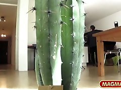 Casting a gorgeous busty blonde porno gay en hostales Lanette, Conny Dachs