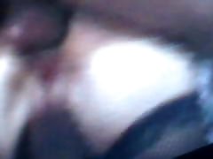 ANAL HEART FROM CAMPANIABIG ASS.A YOUNG phim xnxx co giao thao BREAK HER .