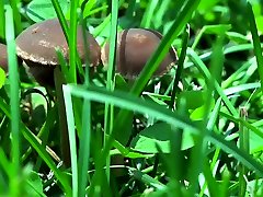 gedemütigt sklave in dosen und gebunden im freien