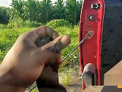 COME IN THE CORN