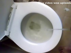 शौचालय में पेशाब 2
