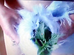 Stinging nettle and mohair masturbation 2