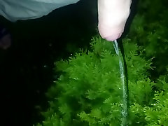 my cock peeing in the garden night time ............