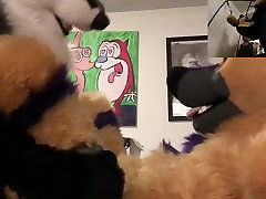 breaking in a shep
