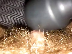 Close up of huge hairy ftm clit vibing & cumming