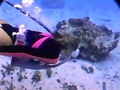 scuba models