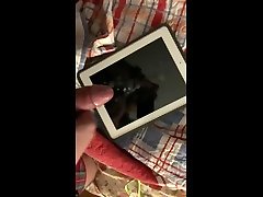 第八载的一天。