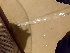 pissing over the carpet