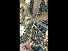 pissing out on a tree