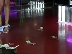 尼基被捕带