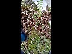 撒尿在塑料在树林里
