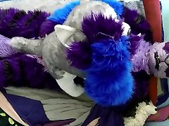 kitty fuck his husky plushie