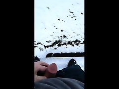 شاش در برف سفید