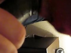 hooded chub sucks bbc