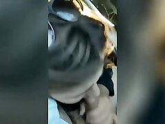 pov blowjob from evie Blowjob Car Date