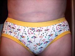 Pantie slide show