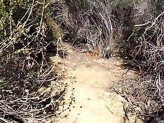 Teen Hiker Climbs A Hard Cock