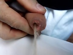 097 - cotton fluffs on my foreskin-tip