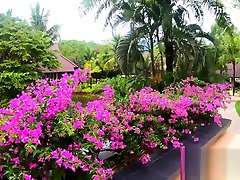 videos encoxadas Sex with Exotic huge tits arreolas in a hotel on a tropical island and cum on feet