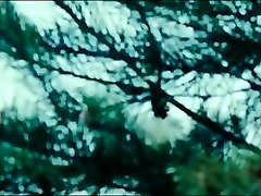 Cortney Palm - Silent Night 2012