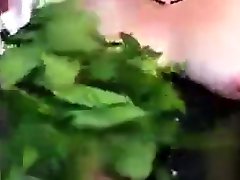 punishment with bunch of nettles