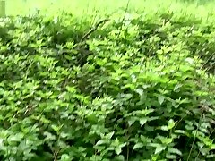 klass havola bj wald