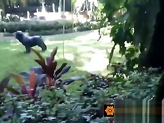 Round sms irani asian teen bouncing on a stiff fuck rod