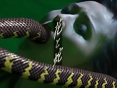 سیجوکو 4 شروع