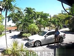 Foreing black chick is subdued by Bruno onto some rough action