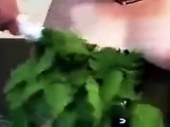 punishment with bunch of nettles