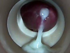 finta figa creampie: vista interna