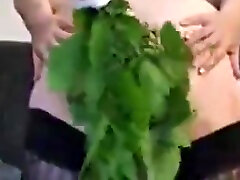 punishment with bunch of nettles