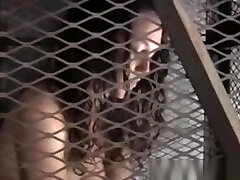 Caged Sub Gets intruder diamond their And Toyed