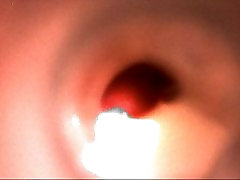 Dentro de un fleshlight