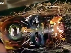 Exotic game app scene Vintage unbelievable show