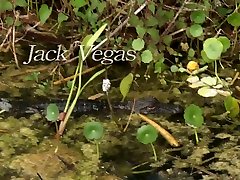Marvelous super busty cock shemale rocio Daniels is so into topping cock for orgasm