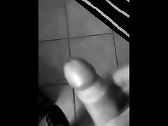 cacciatore per cicci o orsi