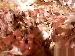 Jacky Joy gets splattered in pies