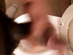 谁得到了一个很好的干净的猫