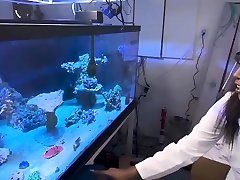 आबनूस डॉक्टर के साथ बुरा सेक्स प्रयोग