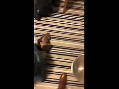 treten schwanz und bälle mit hohen braunen leder reitstiefel