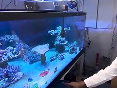 वी. आर. BANGERS यात्रा, वर्दी में सेक्सी नीचे पहनने के कपड़ा