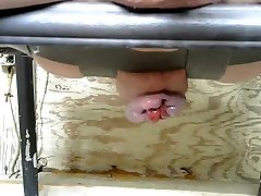 bottomsluts blooming rosebud